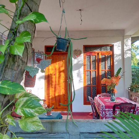 Nelum Home Stay Sigirija Zewnętrze zdjęcie