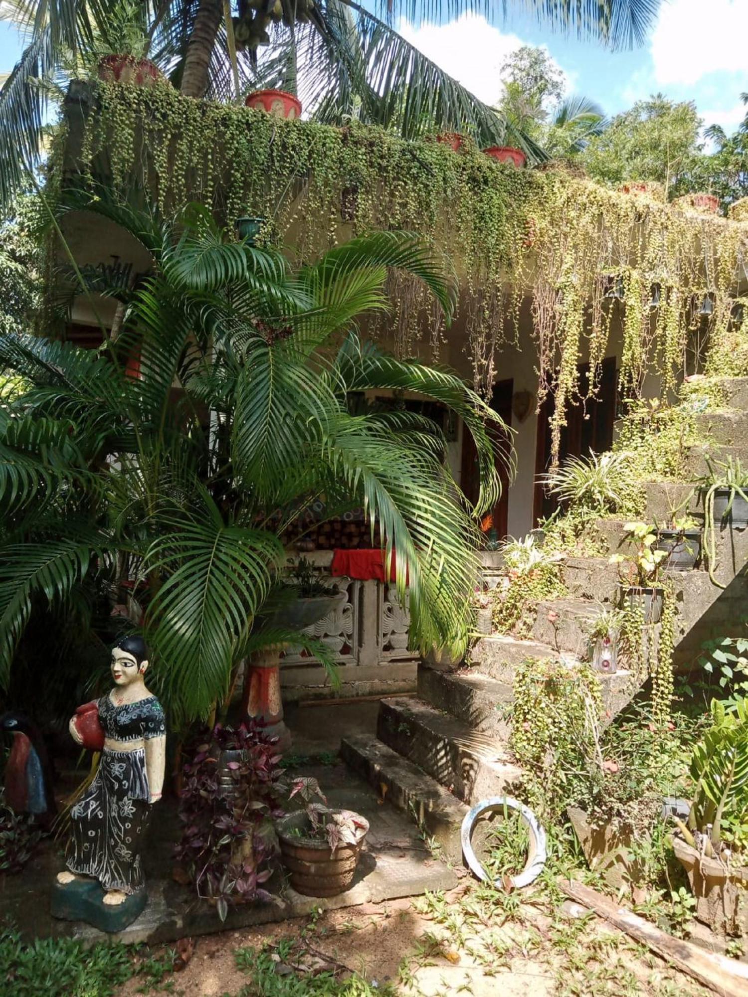Nelum Home Stay Sigirija Zewnętrze zdjęcie